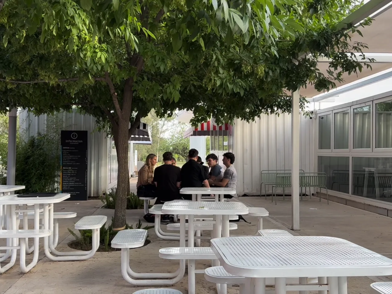 Como prevenir y reducir deserción estudiantil.